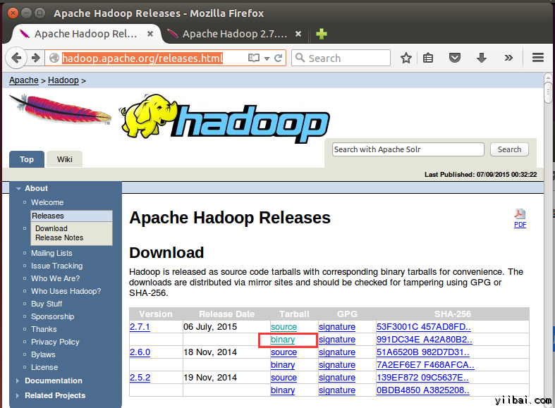 Hadoop安装
