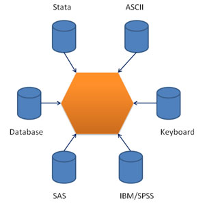 Data Input（数据输入）