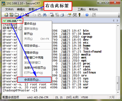 Hadoop集群系列4:SecureCRT使用的讲解