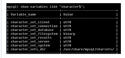 关于mysql的编码问题的详解