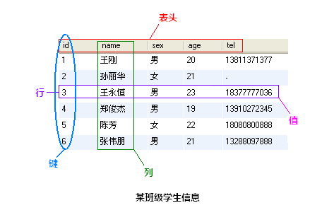 菜鸟通关宝典之mysql基础操作_数据库_mysql操作_课课家