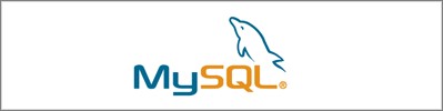 了解MySQL数据类型